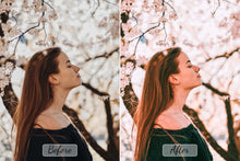 Load image into Gallery viewer, Pro-Spring-Mobile-And-Desktop
