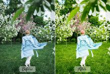 Load image into Gallery viewer, Pro-Spring-Mobile-And-Desktop
