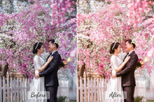 Load image into Gallery viewer, Pro-Spring-Mobile-And-Desktop
